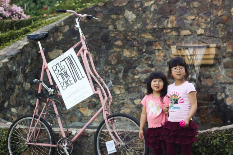 970104_167371903429374_243346405_n