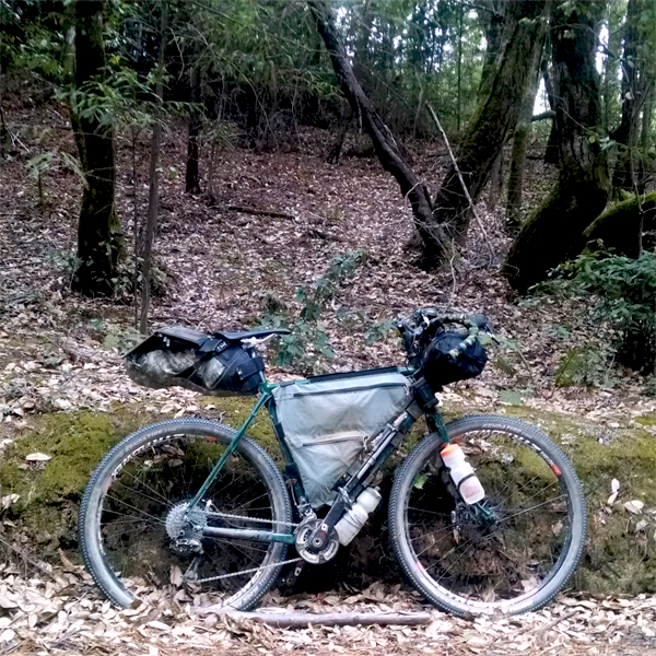 The Ghost Rider's bike.